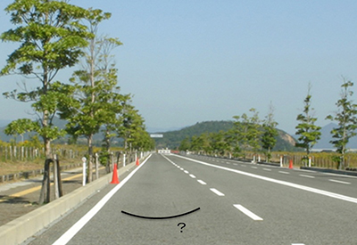 錯視の理解と映像技術への応用