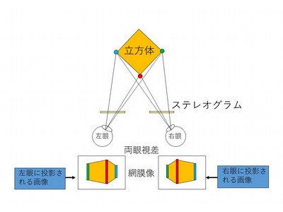 立方体を観察した時の網膜像の差の模式図